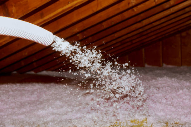 Best Insulation Maintenance and Repair in Falls City, NE