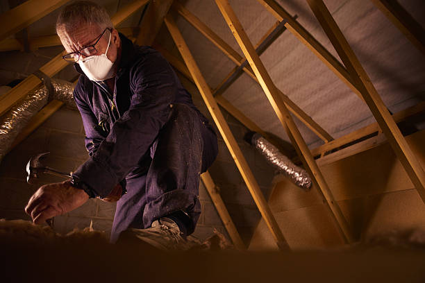 Best Cellulose Insulation in Falls City, NE